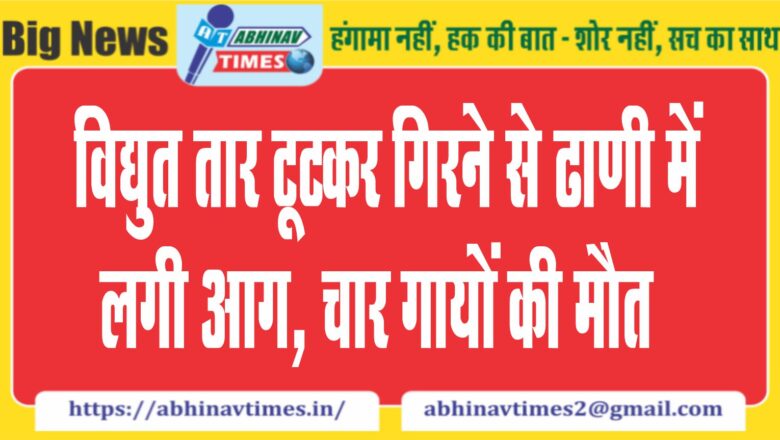 विद्युत तार टूटकर गिरने से ढाणी में लगी आग, चार गायों की मौत…