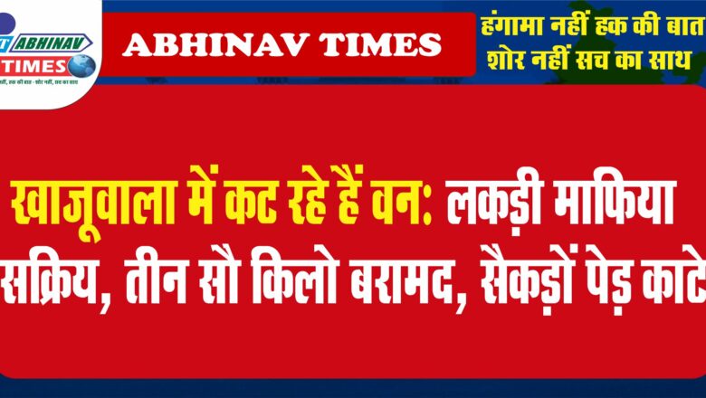 खाजूवाला में कट रहे हैं वन:लकड़ी माफिया सक्रिय, तीन सौ किलो बरामद, सैकड़ों पेड़ काटे