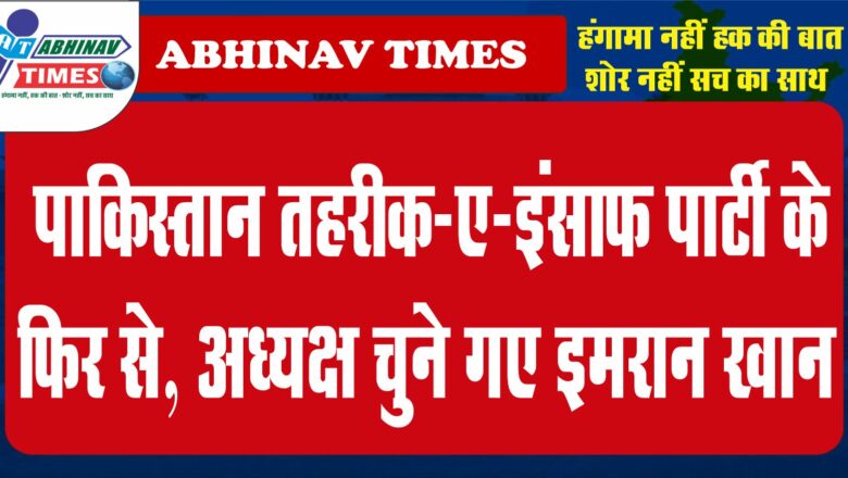 पाकिस्तान तहरीक-ए-इंसाफ पार्टी के फिर से अध्यक्ष चुने गए इमरान खान