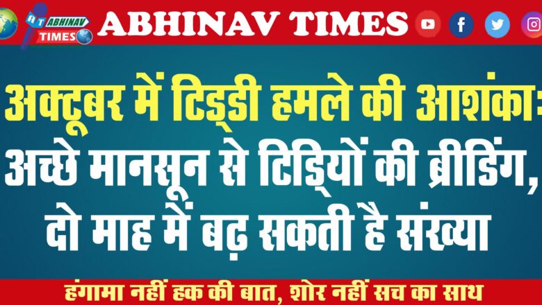 अक्टूबर में टिड्‌डी हमले की आशंका: अच्छे मानसून से टिडि्डयों की ब्रीडिंग, दो माह में बढ़ सकती है संख्या