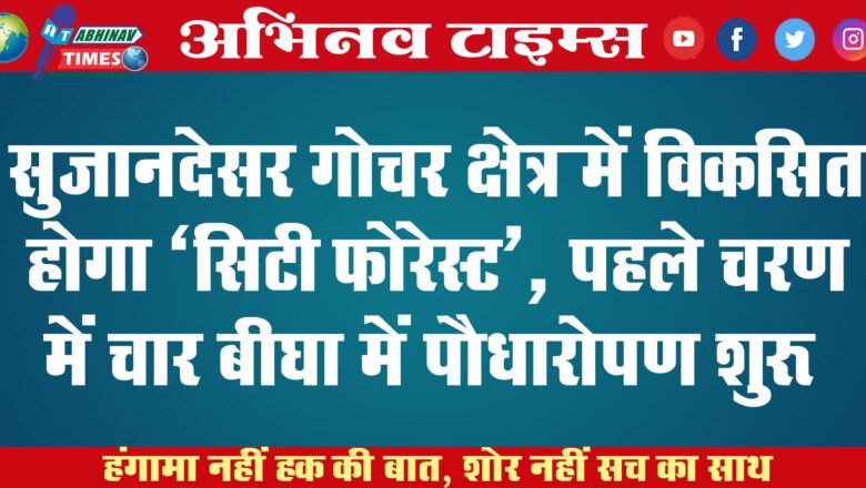 सुजानदेसर गोचर क्षेत्र में विकसित होगा ‘सिटी फोरेस्ट’, पहले चरण में चार बीघा में पौधारोपण शुरू