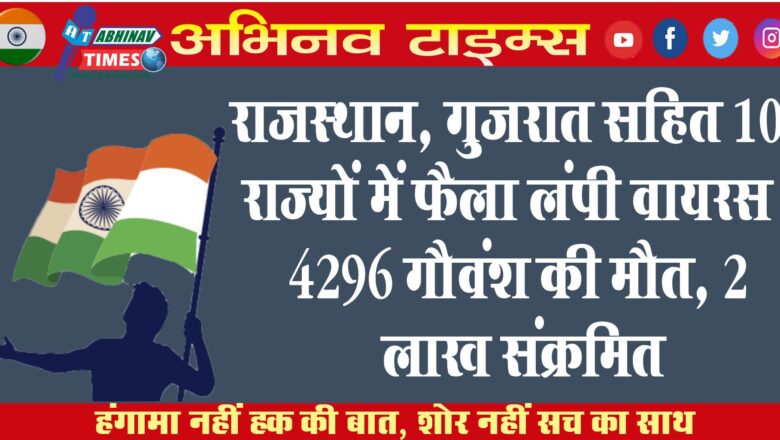 राजस्थान, गुजरात सहित 10 राज्यों में फैला लंपी वायरस: 4296 गौवंश की मौत, 2 लाख संक्रमित