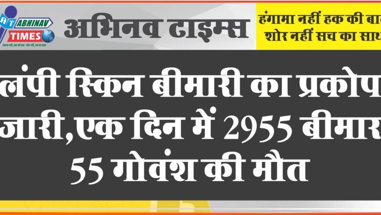 लंपी स्किन बीमारी का प्रकोप जारी:एक दिन में 2955 बीमार, 55 गोवंश की मौत, सर्वे में जुटा विभाग