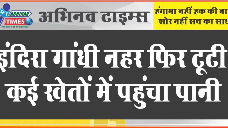 इंदिरा गांधी नहर फिर टूटी:रणजीतपुरा वितरिका चार जगह से टूटी, कई खेतों में पहुंचा पानी