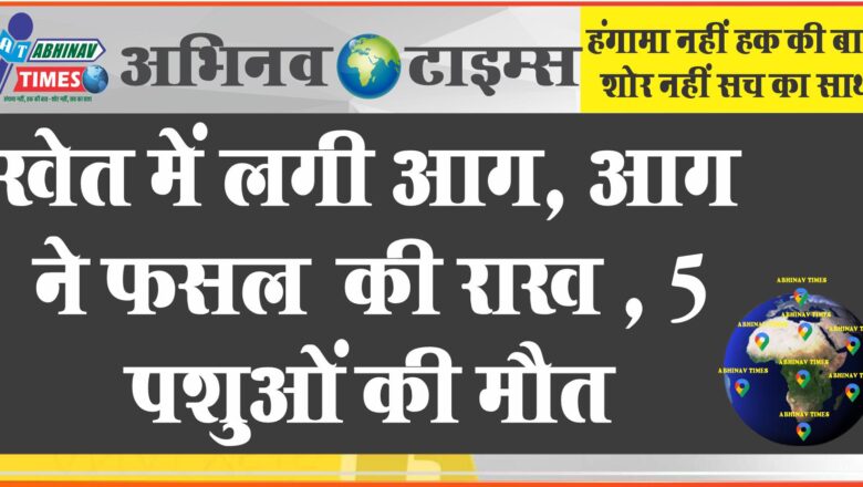 खेत में आग, फिर किसान का नुकसान: आग ने फसल की राख , 5 पशुओं की मौत