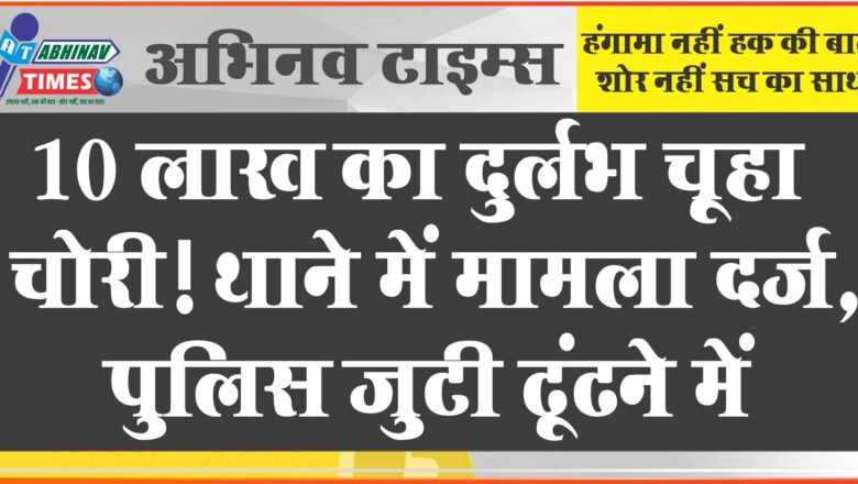 10 लाख का दुर्लभ चूहा चोरी! थाने में मामला दर्ज, पुलिस जुटी ढूंढने में