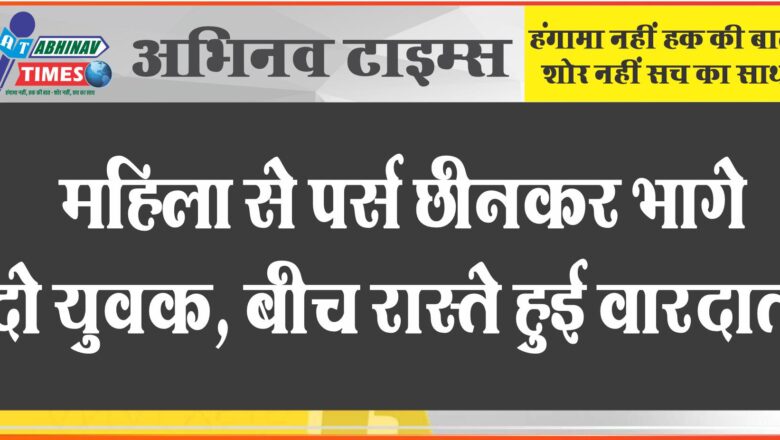 महिला से पर्स छीनकर भागे दो युवक: बीच रास्ते हुई वारदात