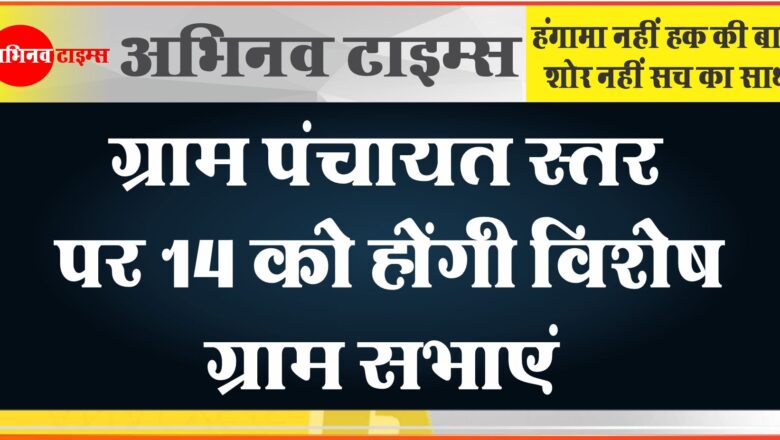 ग्राम पंचायत स्तर पर 14 को होंगी विशेष ग्राम सभाएं