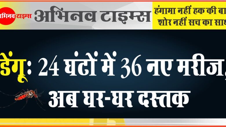 डेंगू मच्छरों का डंक हुआ घातक: 24 घंटों में 36 नए मरीज, अब घर-घर दस्तक