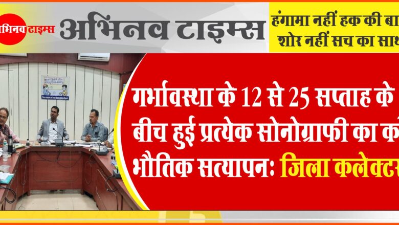 गर्भावस्था के 12 से 25 सप्ताह के बीच हुई प्रत्येक सोनोग्राफी का करें भौतिक सत्यापन : जिला कलेक्टर