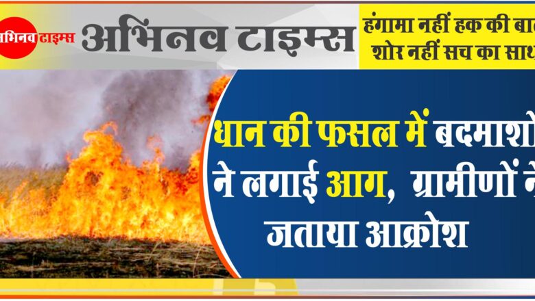 धान की फसल में बदमाशों ने लगाई आग:किसानों को काफी नुकसान, ग्रामीणों ने जताया आक्रोश