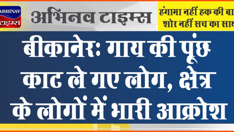 बीकानेर: गाय की पूंछ काट ले गए लोग, क्षेत्र के लोगों में भारी आक्रोश