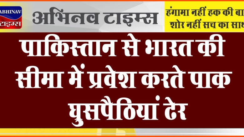 पाकिस्तान से भारत की सीमा में प्रवेश करते पाक घुसपैठियां ढेर