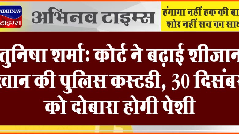 तुनिषा शर्मा: कोर्ट ने बढ़ाई शीजान खान की पुलिस कस्टडी, 30 दिसंबर को दोबारा होगी पेशी