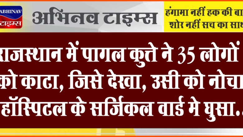 राजस्थान में पागल कुत्ते ने 35 लोगों को काटा:जिसे देखा, उसी को नोचा…