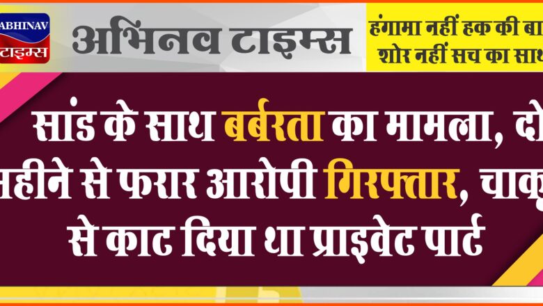 सांड के साथ बर्बरता का मामला:दो महीने से फरार आरोपी गिरफ्तार, चाकू से काट दिया था प्राइवेट पार्ट