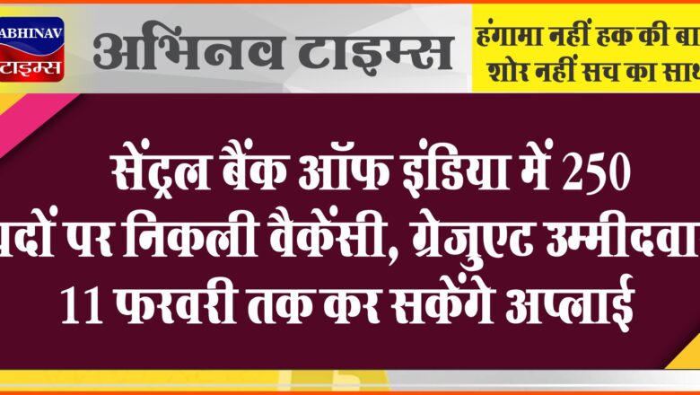 सेंट्रल बैंक ऑफ इंडिया में 250 पदों पर निकली वैकेंसी:ग्रेजुएट उम्मीदवार 11 फरवरी तक कर सकेंगे अप्लाई