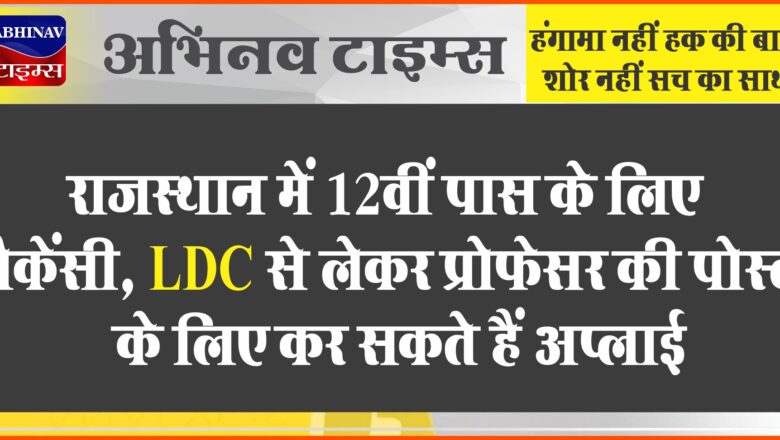 राजस्थान में 12वीं पास के लिए वैकेंसी:LDC से लेकर प्रोफेसर की पोस्ट के लिए कर सकते हैं अप्लाई