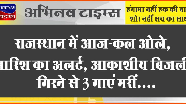 राजस्थान में आज-कल ओले, बारिश का अलर्ट:बीकानेर में आंधी-बरसात, बिजली गिरने से 3 गाएं मरीं; जयपुर में भी बूंदाबांदी