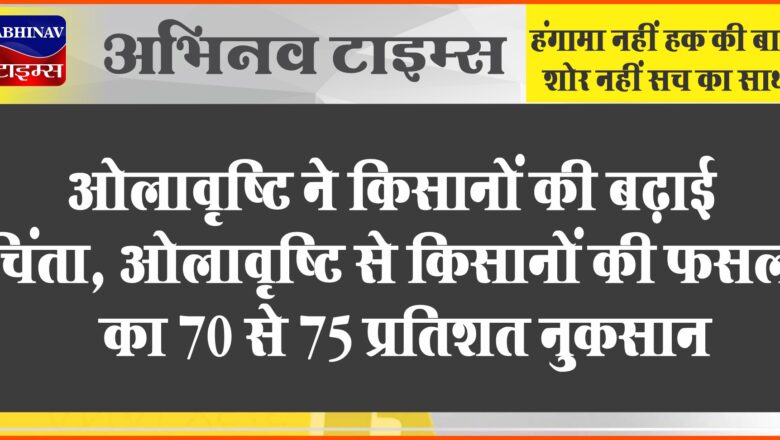 ओलावृष्टि ने किसानों की बढ़ाई चिंता:ओलावृष्टि से किसानों की फसल का 70 से 75 प्रतिशत नुकसान