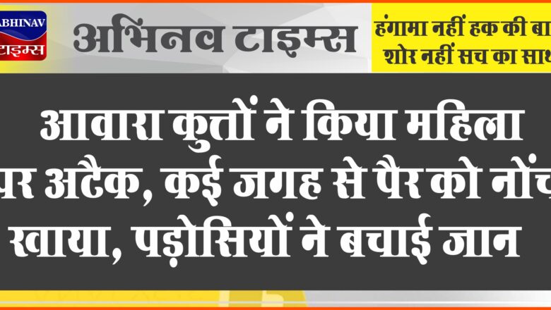 आवारा कुत्तों ने किया महिला पर अटैक:कई जगह से पैर को नोंच खाया, चिल्लाने पर पड़ोसियों ने बचाई जान