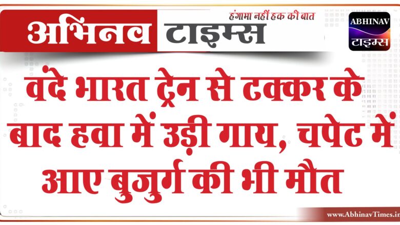 वंदे भारत ट्रेन से टकराई गाय:उछलकर 30 मीटर दूर गिरी, चपेट में आने से 83 साल के बुजुर्ग की मौत