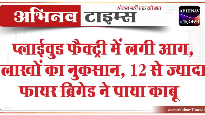 फैक्ट्री में आग से लाखों का नुकसान:प्लाईवुड फैक्ट्री में लगी आग, 12 से ज्यादा फायर ब्रिगेड ने पाया काबू