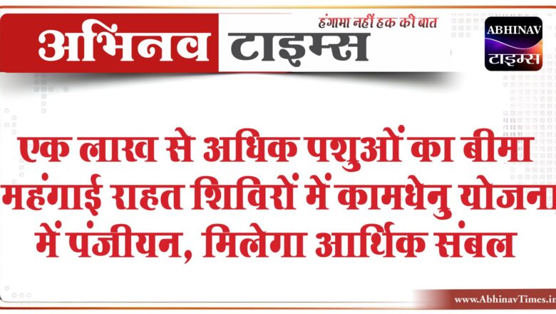 एक लाख से अधिक पशुओं का बीमा:महंगाई राहत शिविरों में कामधेनु योजना में पंजीयन, मिलेगा आर्थिक संबल