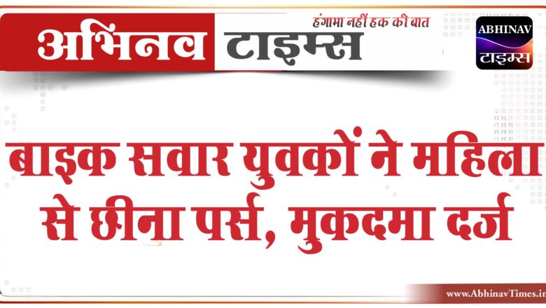 बीकानेर: बाइक सवार युवकों ने महिला से छीना पर्स, मुकदमा दर्ज