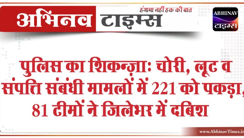 पुलिस का शिकन्ज़ा:चोरी, लूट व संपत्ति संबंधी मामलों में 221 को पकड़ा, 81 टीमों ने जिलेभर में दी दबिश