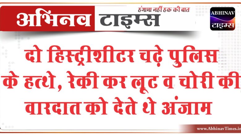 दो हिस्ट्रीशीटर चढ़े पुलिस के हत्थे:रेकी कर लूट व चोरी की वारदात को देते थे अंजाम