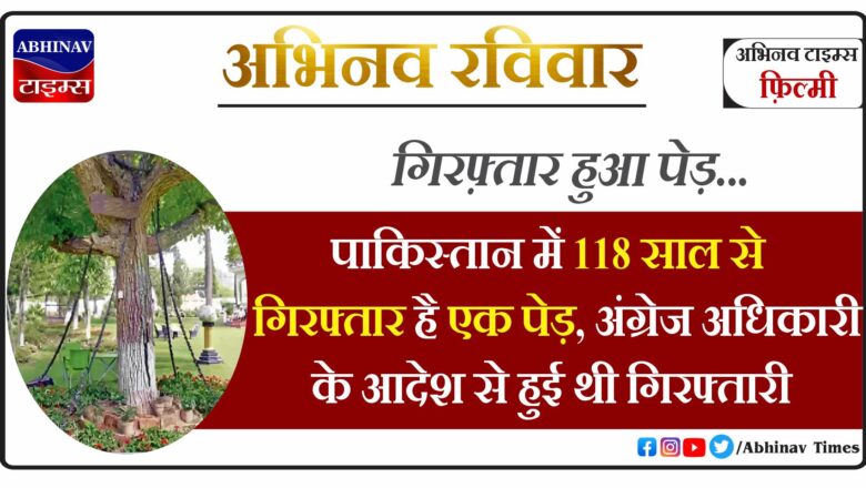 पाकिस्तान में 118 साल से गिरफ्तार है एक पेड़, अंग्रेज अधिकारी के आदेश से हुई थी गिरफ्तारी