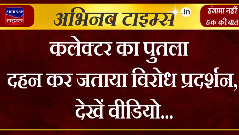 कलेक्टर का पुतला दहन कर जताया विरोध प्रदर्शन, देखें वीडियो