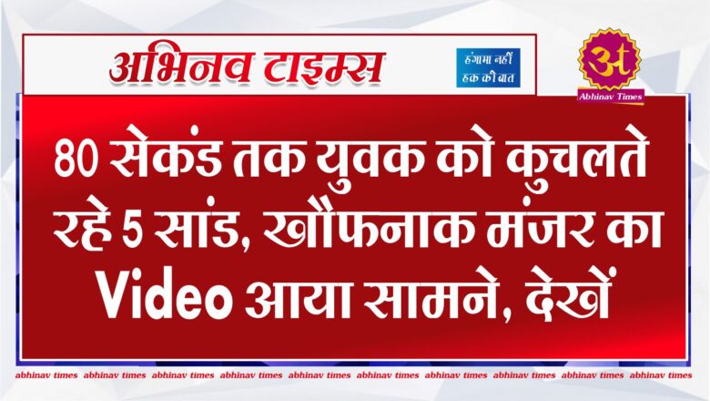 नागौर: 80 सेकंड तक युवक को कुचलते रहे 5 सांड, खौफनाक मंजर का Video आया सामने, देखें