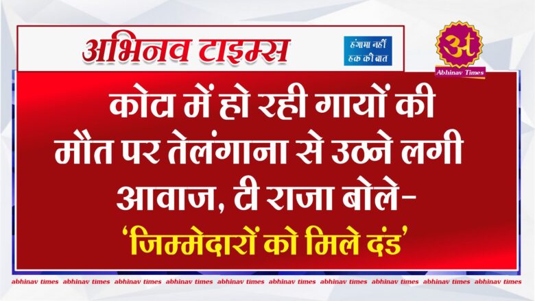 कोटा में हो रही गायों की मौत पर तेलंगाना से उठने लगी आवाज, टी राजा बोले- जिम्मेदारों को मिले दंड