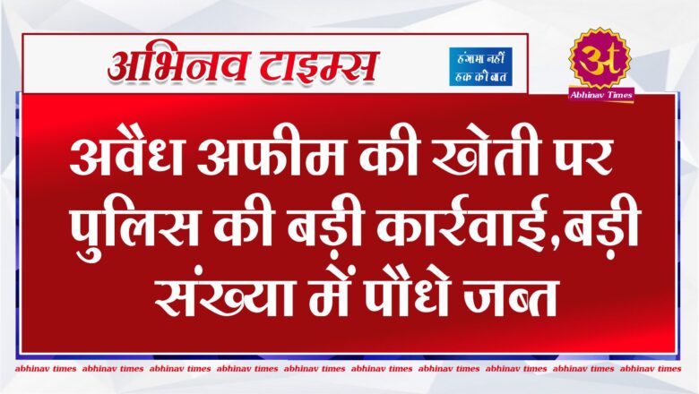 अवैध अफीम की खेती पर पुलिस की बड़ी कार्रवाई,बड़ी संख्या में पौधे जब्त