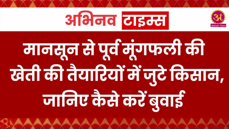 मानसून से पूर्व मूंगफली की खेती की तैयारियों में जुटे किसान, जानिए कैसे करें बुवाई