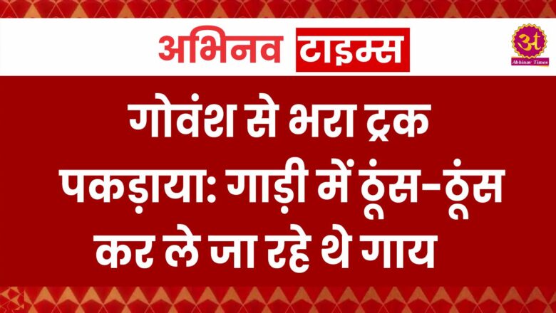 गोवंश से भरा ट्रक पकड़ाया: गाड़ी में ठूंस-ठूंस कर ले जा रहे थे गाय