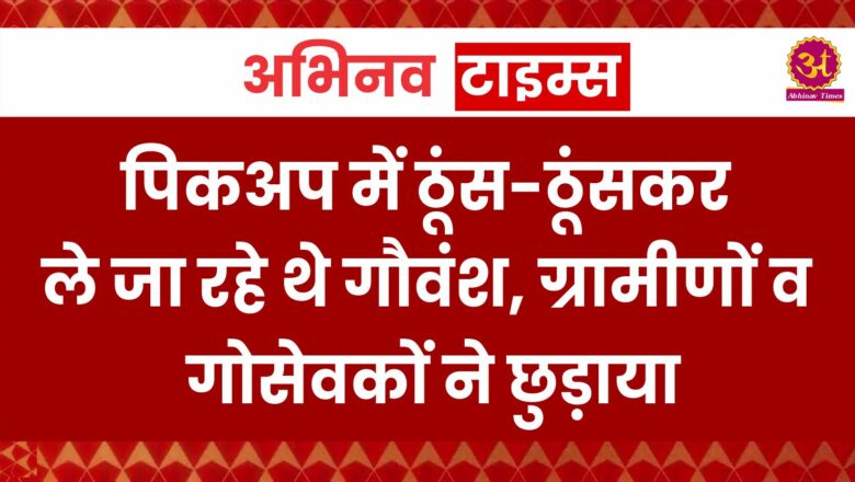 पिकअप में ठूंस-ठूंसकर ले जा रहे थे गौवंश, ग्रामीणों व गोसेवकों ने छुड़ाया