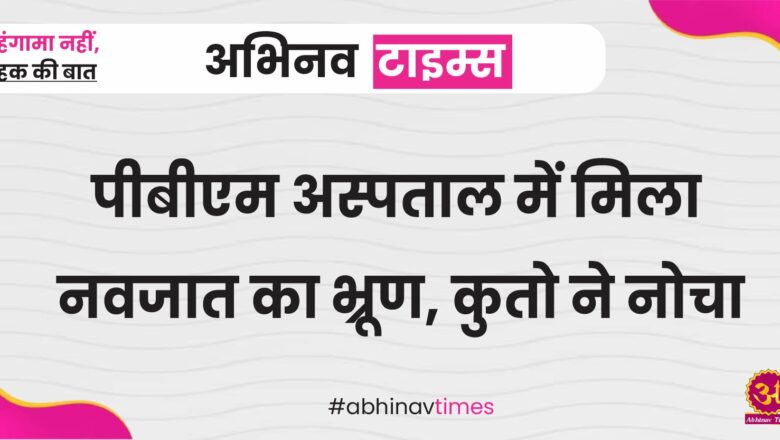 पीबीएम अस्पताल में मिला नवजात का भ्रूण, कुतो ने नोचा